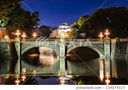 Imperial Palace Nijubashi Bridge (Main Gate Stone Bridge) 2025/26 New Year's illuminations Imperial Palace Nijubashi Bridge (Main Gate Stone Bridge) 2025/26 New Year's illuminations 134874315