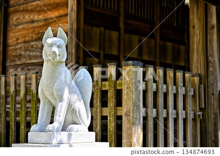 [神奈川] 橫須賀 - 諏訪神社的狒狒狐 134874693
