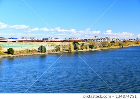 Ogi-Ohashi Bridge / Downstream from the Arakawa River / Looking toward Nishiarai Bridge (Adachi Ward, Tokyo) [December 2025] 134874751