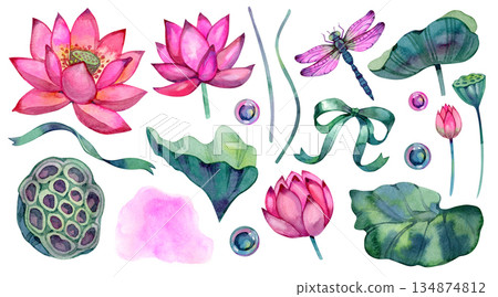 Delicate watercolor botanical set featuring vibrant pink lotus flowers, green lily pads, a detailed dragonfly, and a decorative teal bow. Hand-painted elements with soft textures for wellness, spa Delicate watercolor botanical set featuring vibrant pink lotus flowers, green lily pads, a detailed dragonfly, and a decorative teal bow. Hand-painted elements with soft textures for wellness, spa 134874812