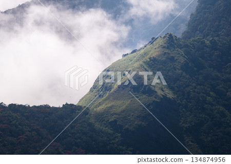 Mountain ridge rises through swirling clouds in Horton Plains, shot from above, revealing sun-lit grasslands merging into dense forest in a highland wilderness 134874956