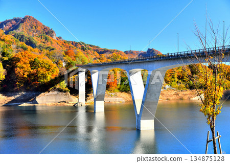Around Maruiwa Bridge / Lake Agatsuma (Naganohara Town, Gunma Prefecture) [November 2025] 134875128