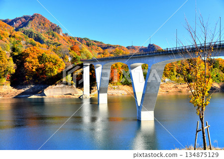 Around Maruiwa Bridge / Lake Agatsuma (Naganohara Town, Gunma Prefecture) [November 2025] 134875129