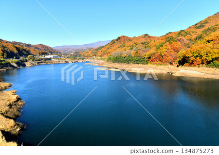 丸岩橋 / 從八葉湖眺望長野原町公所（群馬縣長野原町）[2025年11月] 134875273