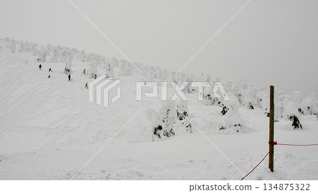 The silvery world of frost-covered trees at Zao in Yamagata Prefecture 134875322