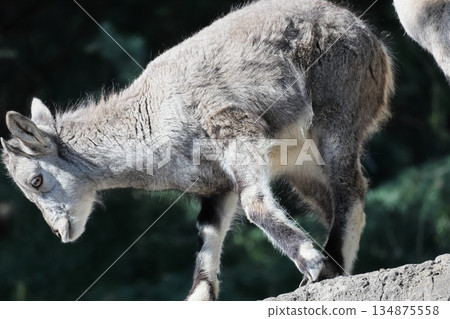 Sue Cho Varal Sue Cho Varal 134875558