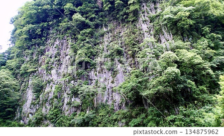 宮崎縣高千穗峽週邊景色 134875962