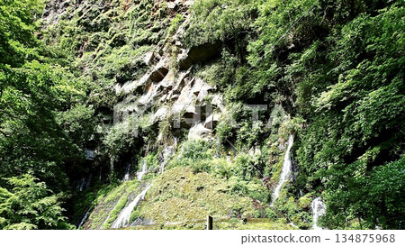 宮崎縣高千穗峽週邊景色 134875968