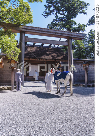 伊勢神宮外宮新馬崇拜景觀 伊勢神宮馬年首日參拜儀式 134876229