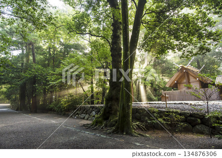 伊勢神宮的清晨景色。晨光灑滿大地。伊勢神宮的祭祀儀式。馬年。 134876306
