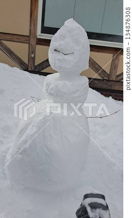 Snowman of Youth Snowman of Youth 134876308
