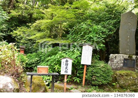 Hakone Town: Benzaiten Shrine in the grounds of Hakone Shrine 134876360