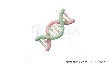 DNA雙螺旋 134876445