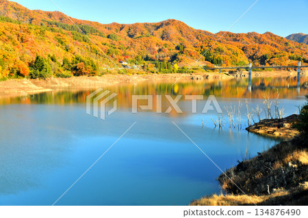 Yamba Bridge / View of Lake Yamba Agatsuma (Naganohara Town, Gunma Prefecture) [November 2025] 134876490