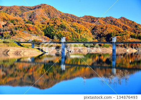 Yamba Bridge / View of Lake Yamba Agatsuma (Naganohara Town, Gunma Prefecture) [November 2025] 134876493