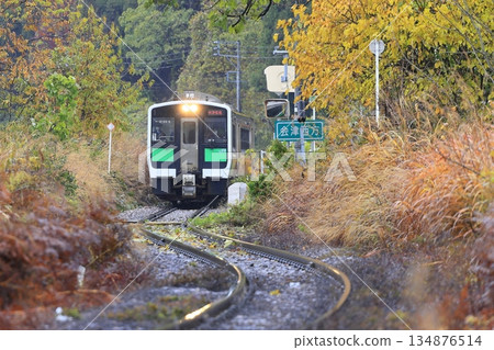 Tadami line of autumn leaves 134876514