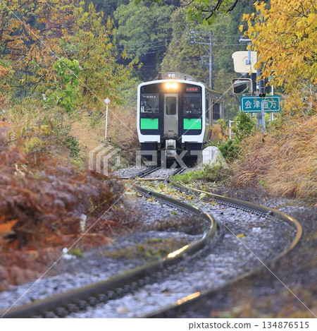 Tadami line of autumn leaves 134876515