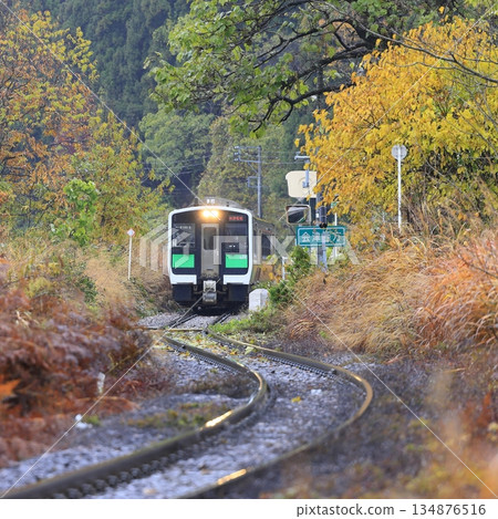Tadami line of autumn leaves 134876516