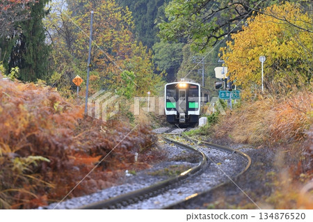 Tadami line of autumn leaves 134876520