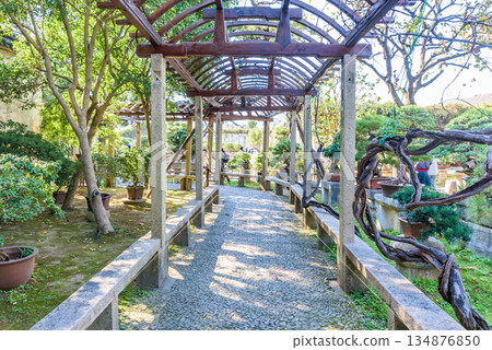 世界遺產「蘇州古典庭園」留園 134876850