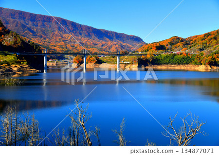 不動橋/八葉吾妻湖景觀（群馬縣長野原町）[2025 年 11 月] 134877071