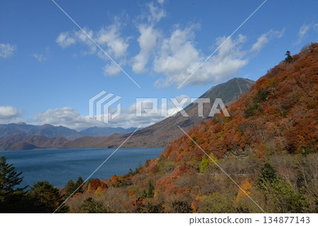 Autumn leaves of Mt. Autumn leaves of Mt. 134877143