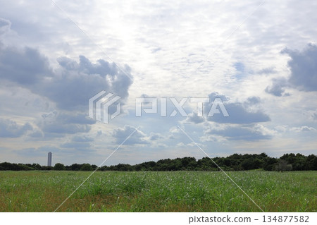 東京都江東區海之森公園 134877582