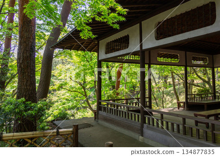 戶賀屋都庭園:涼亭被翠綠的植物環繞,景色宜人。 戶賀屋都庭園:涼亭被翠綠的植物環繞,景色宜人。 134877835