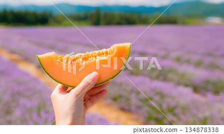 Hand Holding Fresh Melon Slice Over Blooming Lavender Field Hand Holding Fresh Melon Slice Over Blooming Lavender Field 134878338