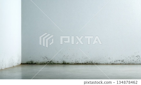 Mold and Mildew on Empty Interior Wall Caused by High Humidity 134878462