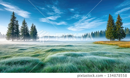 Frosty Meadow Landscape with Pine Trees and Morning Mist Frosty Meadow Landscape with Pine Trees and Morning Mist 134878558