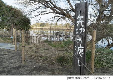 東京葛飾區柴又的矢切渡輪的冬景 134878683