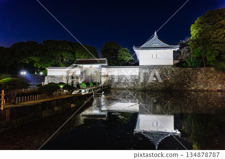 皇宮大手門2025/26新年燈光秀 134878787