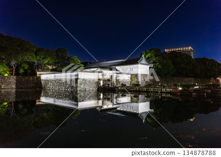 皇宮大手門2025/26新年燈光秀 134878788