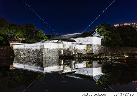 皇宮大手門2025/26新年燈光秀 134878789