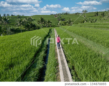 Woman Gazes At Expansive Bali Rice Terraces While Walking Along Narrow Trail 134878893