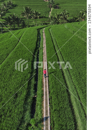 Aerial Perspective Captures Tranquil Countryside And Symmetrical Farmland Layout Aerial Perspective Captures Tranquil Countryside And Symmetrical Farmland Layout 134878894