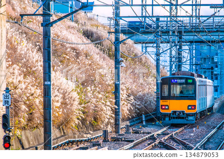 日本橫濱的城市景觀，一列火車（尾車廂）正駛離阿佐野站，遠處可見日本蒲葦草。 134879053