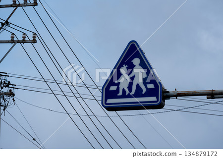Pedestrian signs and power lines 134879172