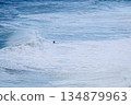 Surfer riding a massive ocean wave on a bright day for dramatic seascape and action 134879963