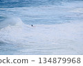 Surfer riding a massive wave alone in the open ocean, dramatic seascape 134879968