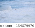 Surfer rides massive ocean wave on a red board amid powerful sea spray 134879970
