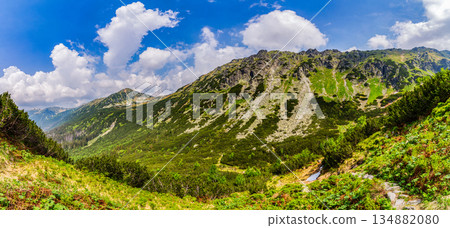 Wide panorama of green mountain ridges and rocky peaks in High Tatras 134882080