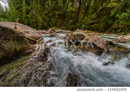 Wild mountain stream flowing through a lush green forest in High Tatras Wild mountain stream flowing through a lush green forest in High Tatras 134882095