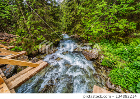 Gravel hiking path alongside a mountain river in High Tatras 134882214