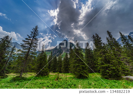 High mountain peak under a vibrant blue sky in Tatra National Park 134882219