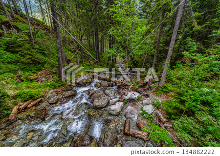 Wild mountain river with waterfall in a lush green forest, Tatra Mountains Wild mountain river with waterfall in a lush green forest, Tatra Mountains 134882222