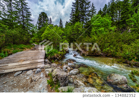 Wooden footbridge over a clear mountain stream in High Tatras Wooden footbridge over a clear mountain stream in High Tatras 134882352