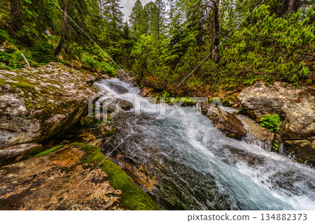 Wild mountain river flowing through green forest in High Tatras Wild mountain river flowing through green forest in High Tatras 134882373