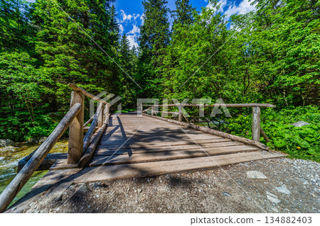 Rustic wooden bridge on a hiking trail in High Tatras forest Rustic wooden bridge on a hiking trail in High Tatras forest 134882403